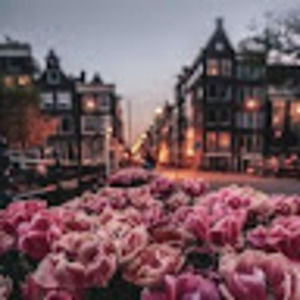 Meet your Posher, Aneesah